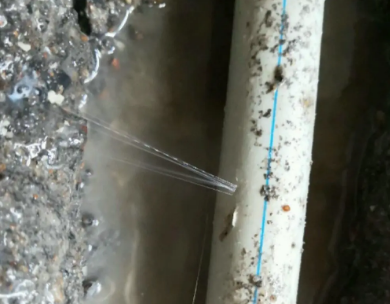 兰西测漏水哪家好