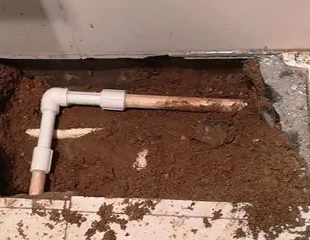 兰西测漏水哪家好