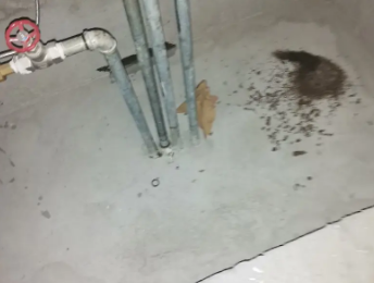 兰西卫生间测漏水价格明细